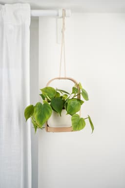 HANGIS Hanging Planter I Frame Planter 3d model