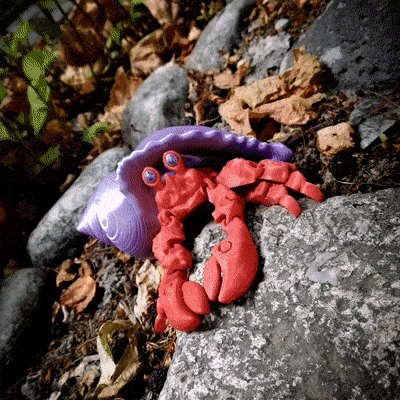 Hermit crab_v2 3d model