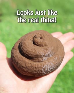 Fake Poo Key Hide - Secret Stash Box 3d model