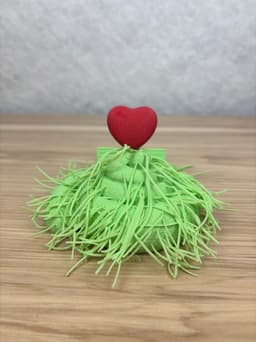 Grinch Poo Gift Card Holder 3d model