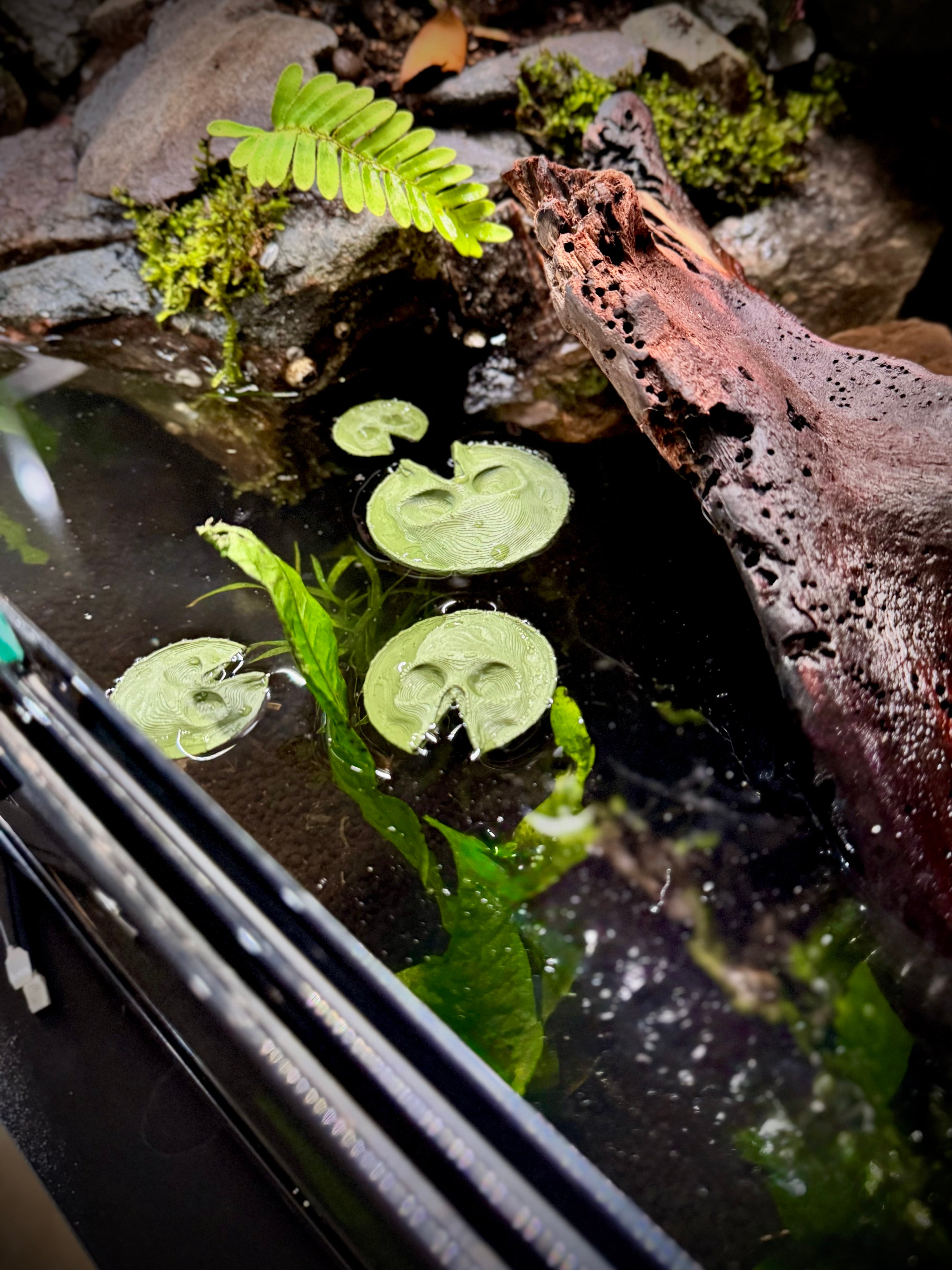Skull lilly pad 3d model