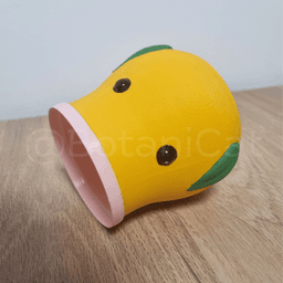 Planters & Co: Bellsprout 3d model