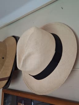 Hat wall hanger 3d model