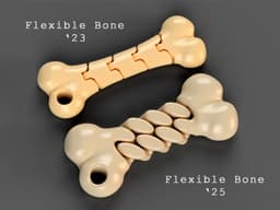 Flexible Bone 2 (chain) 3d model