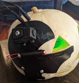 Pumpkutus of Gourd Facial Implant 3d model