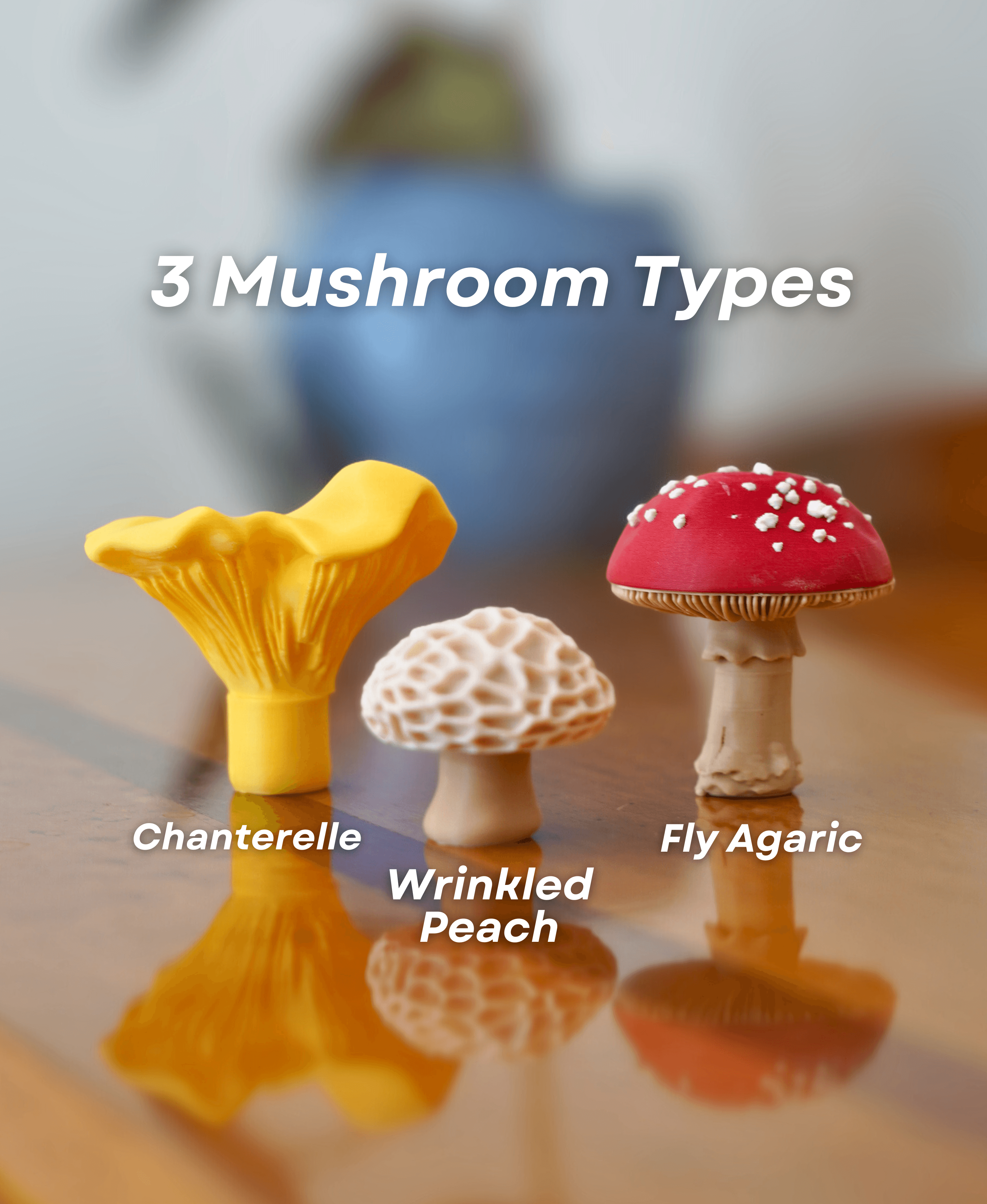 Magnetic Mushroom Pack 2 3d model