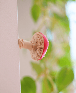 Magnetic Mushroom Pack 2 3d model