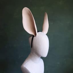 Lapin | Oversized Fantasy Rabbit Ears 3d model