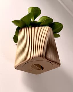 Meva - a versatile planter (wall or table) 3d model