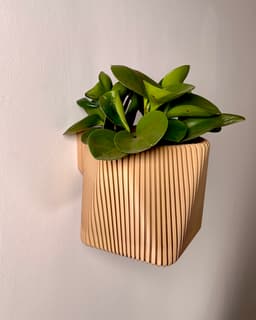 Meva - a versatile planter (wall or table) 3d model