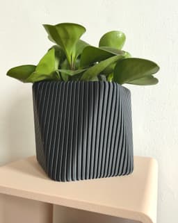 Meva - a versatile planter (wall or table) 3d model