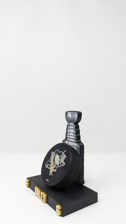 Hockey Puck Display_Stanley Cup 3d model