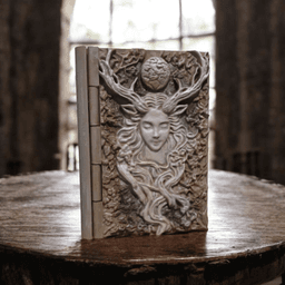Fantasy Book Box 3d model