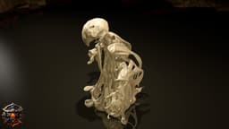 Candlevein the Meltwalker 3d model