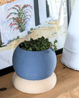 Self-Watering Ball 3d model