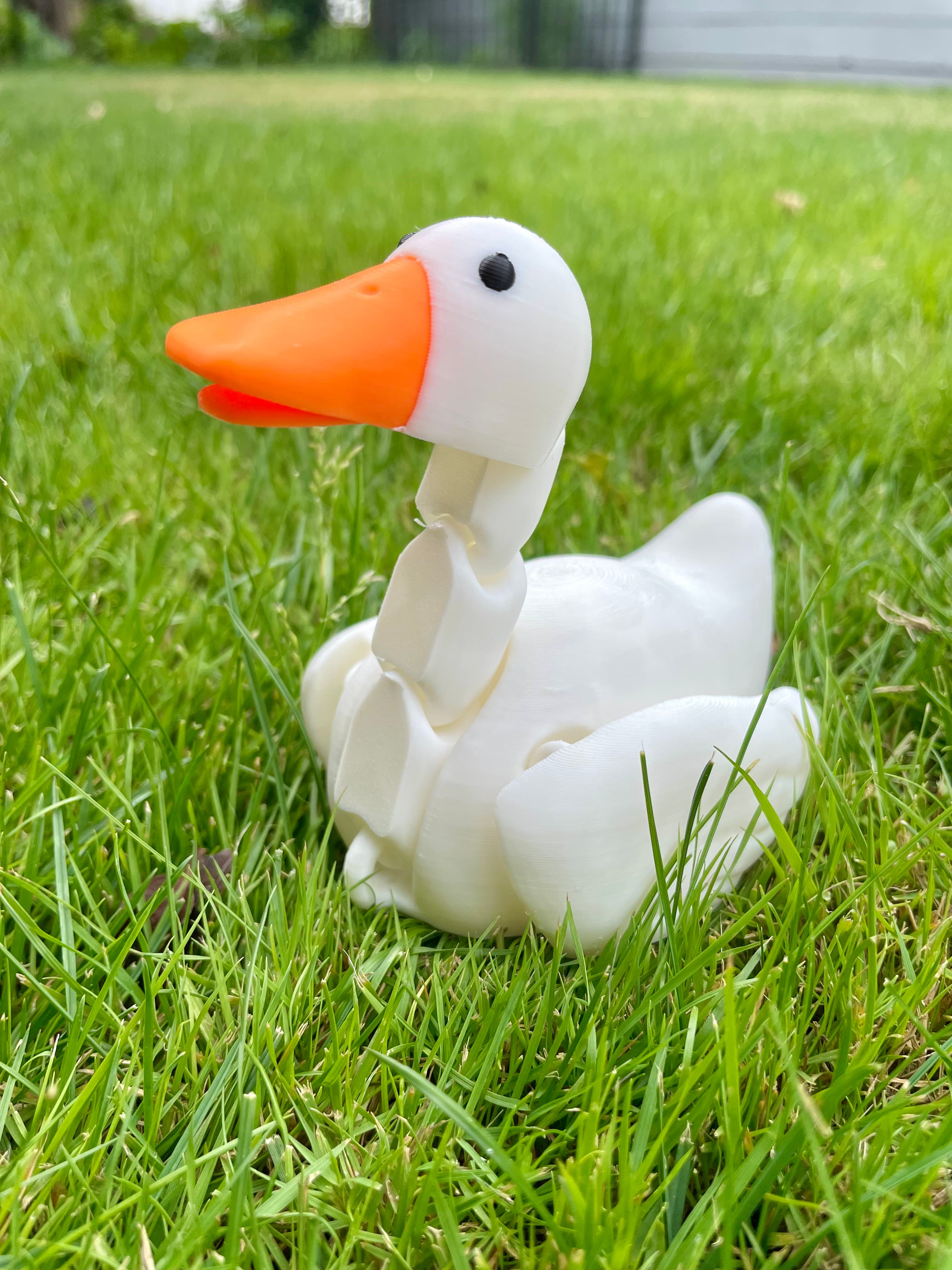 Flexi Duck Print In Place / Multiparts / Color Print 3MF / Heart Gift Box 3d model