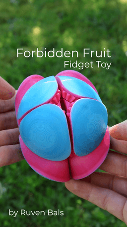 Forbidden Fruit Fidget Toy 3d model