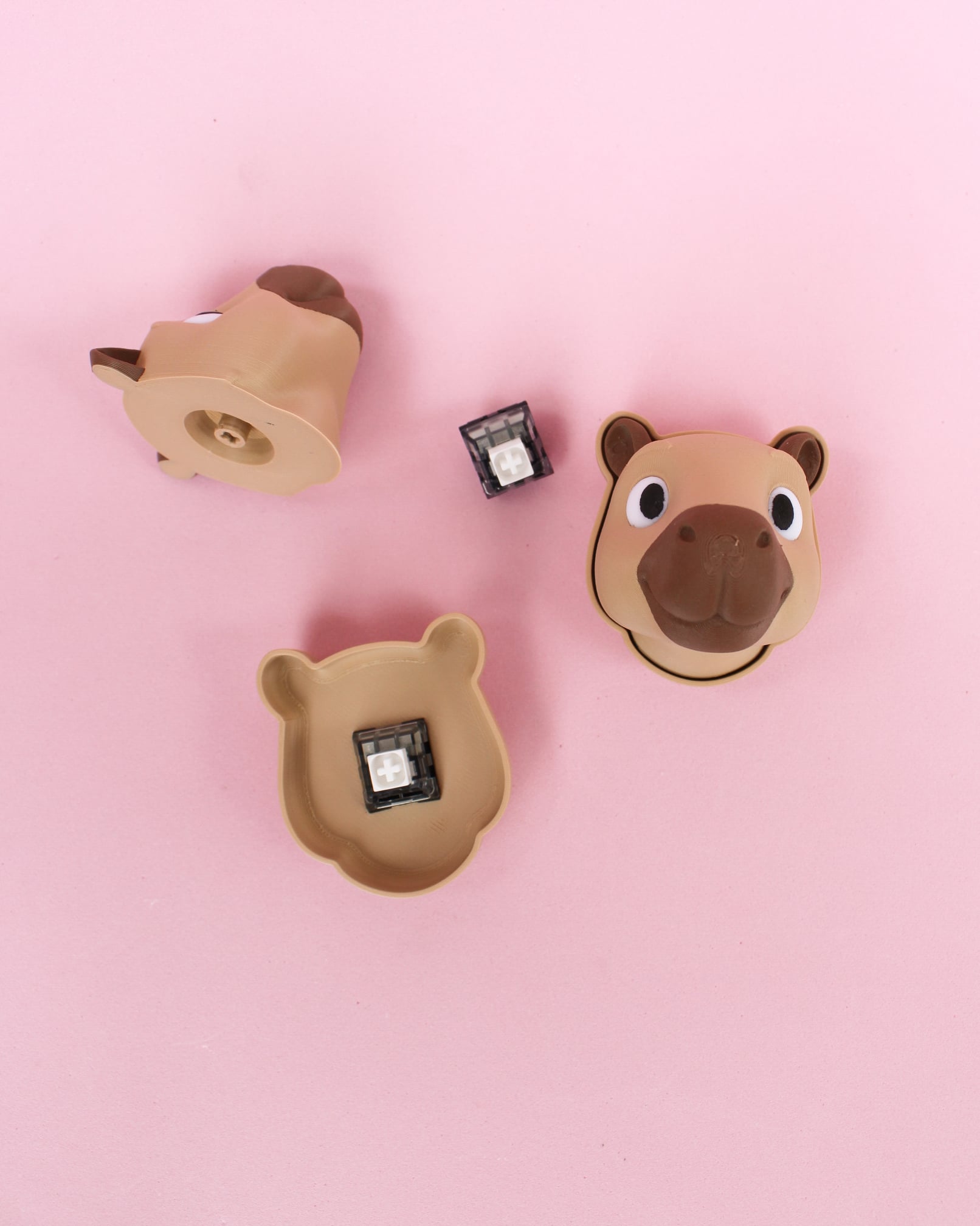 Capybara Clicker Keychain โ 3D Fidget Toy 3d model