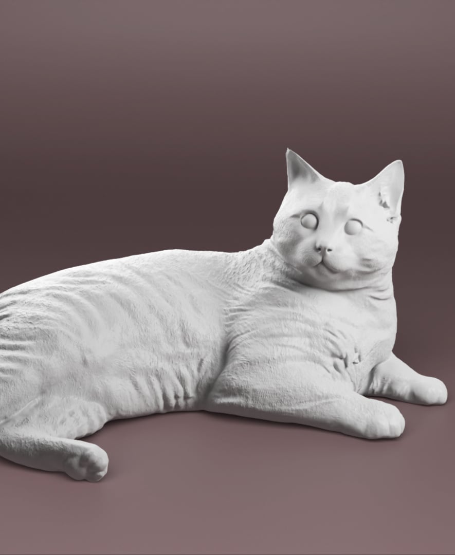 Cat lying down 3d model
