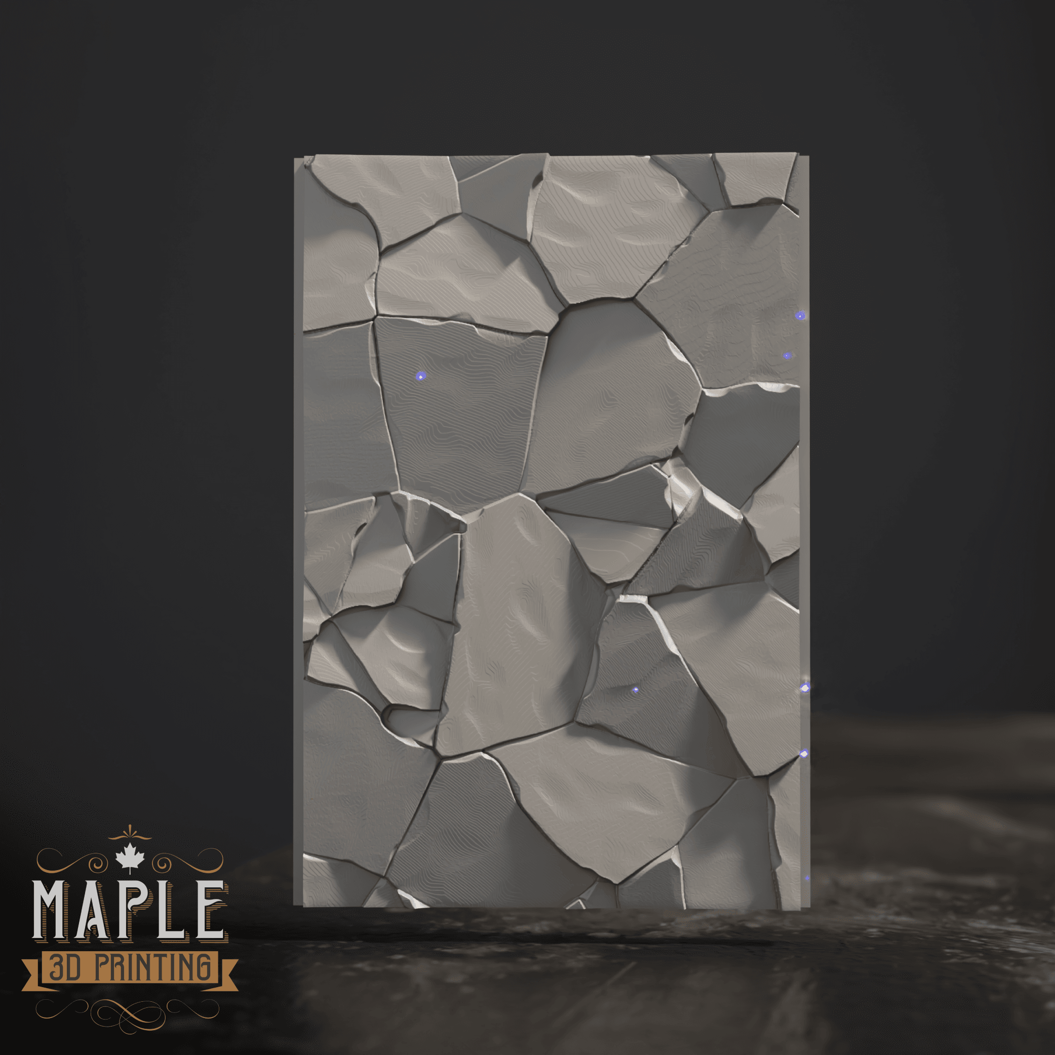 Display Box - Model Showcase - TCG Display 3d model