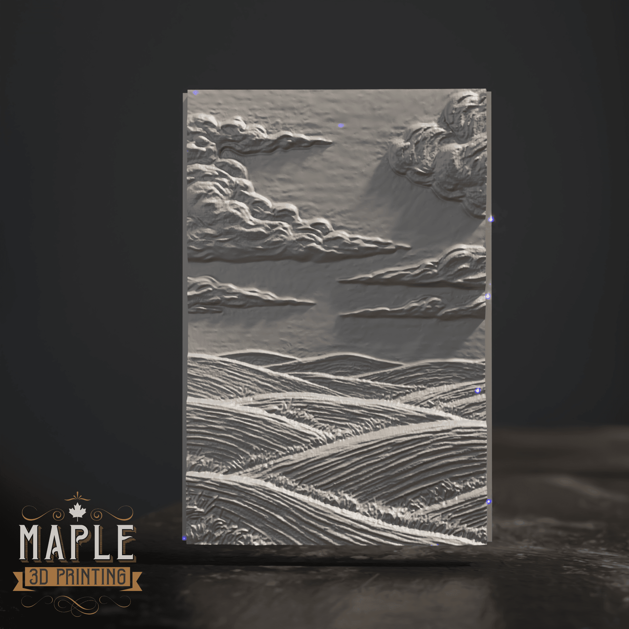 Display Box - Model Showcase - TCG Display 3d model