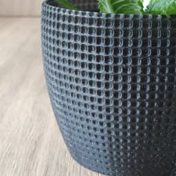 Planter 3d model