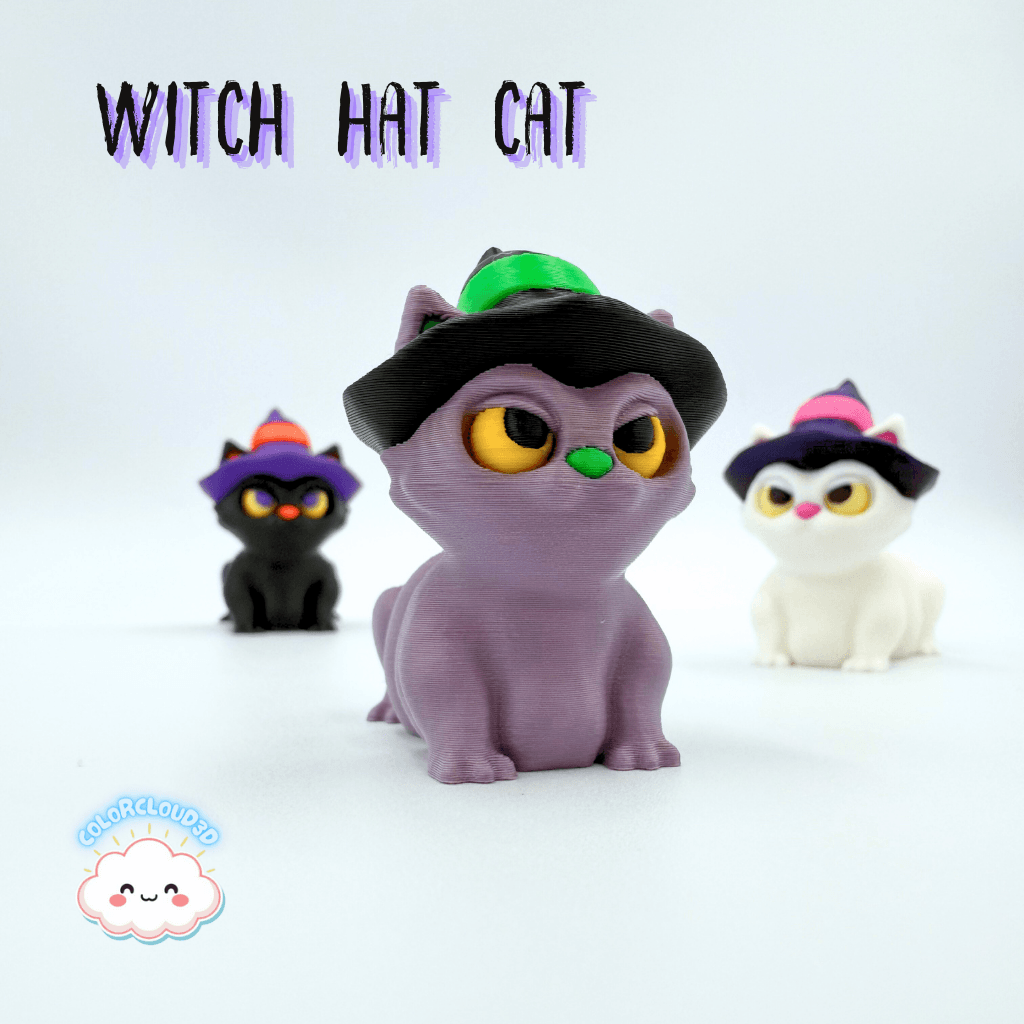 Witch Hat Cat 3d model