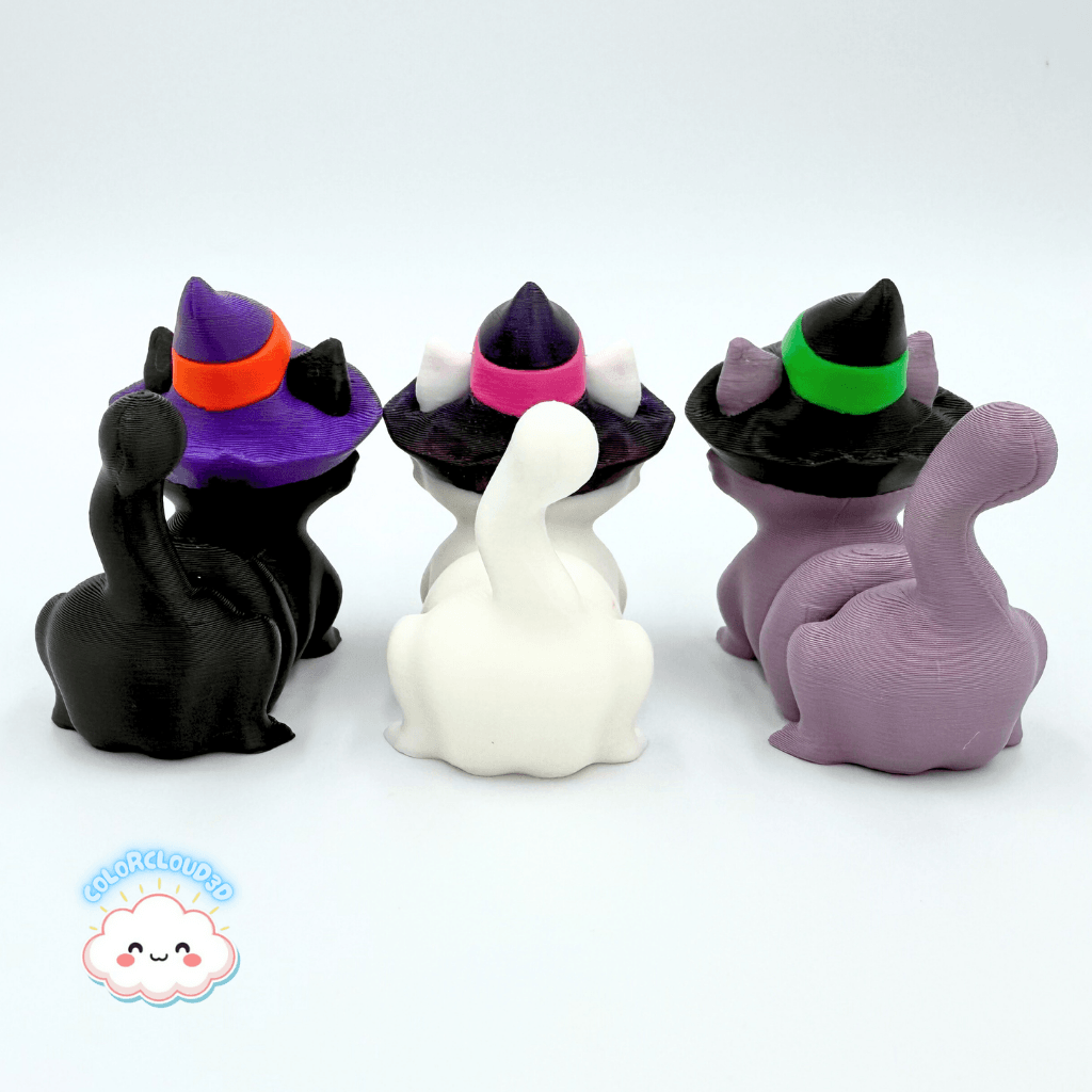 Witch Hat Cat 3d model