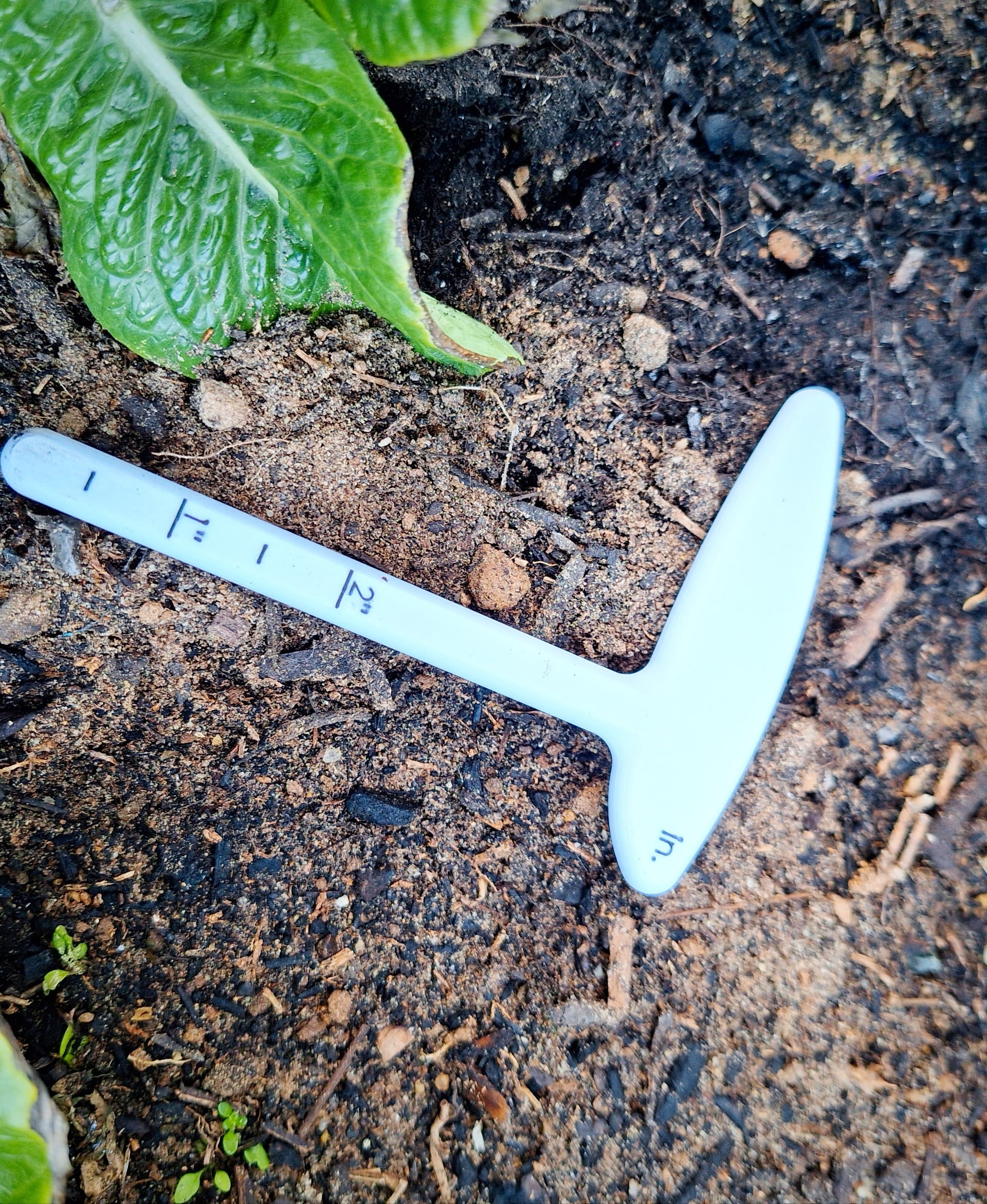 Seed Sowing Depth Gauge - Seed Sowing Depth Gauge In Imperial Measurements - 3d model