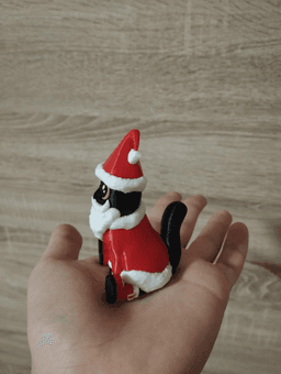 Santa Cat 3d model