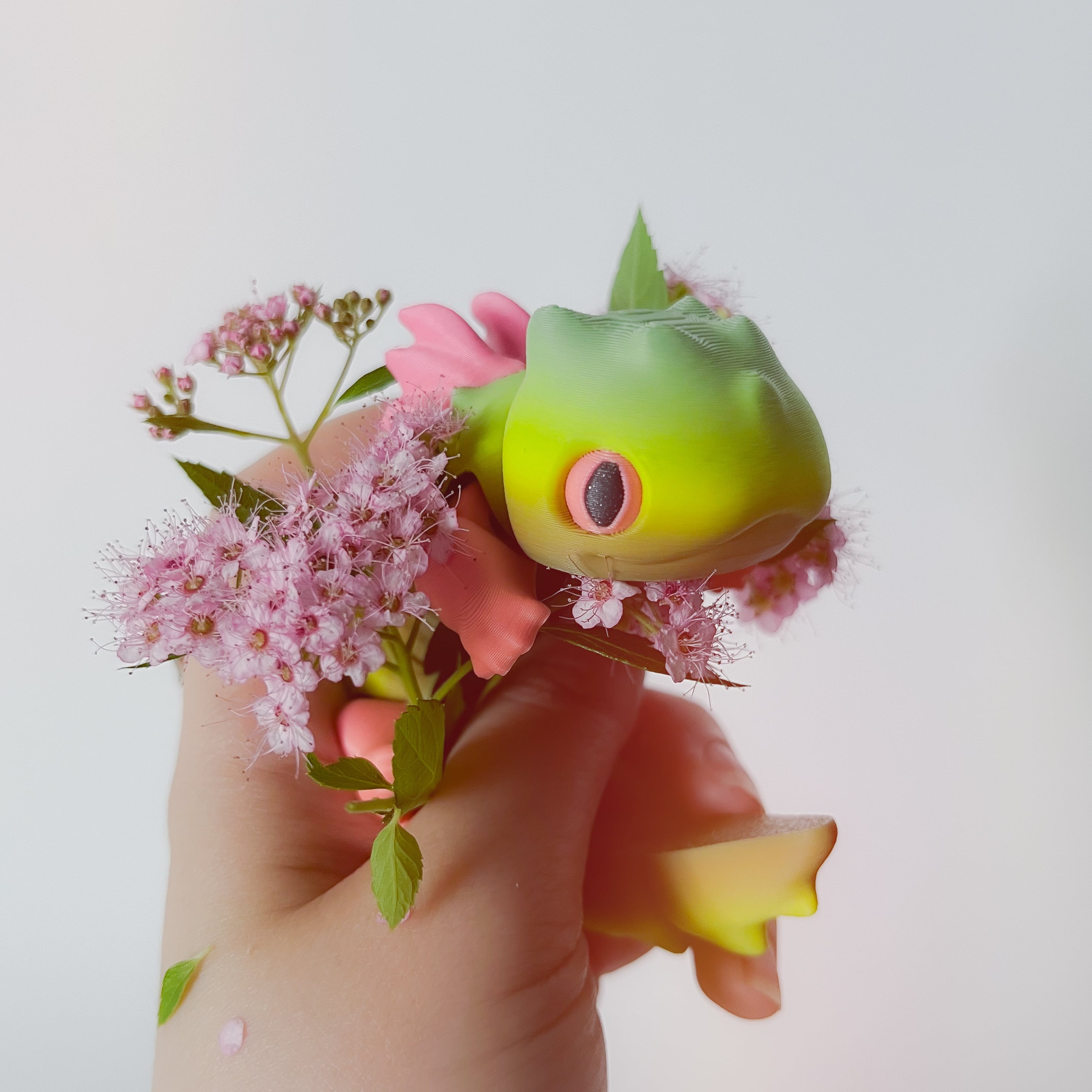 Dramander Flexi 3d model