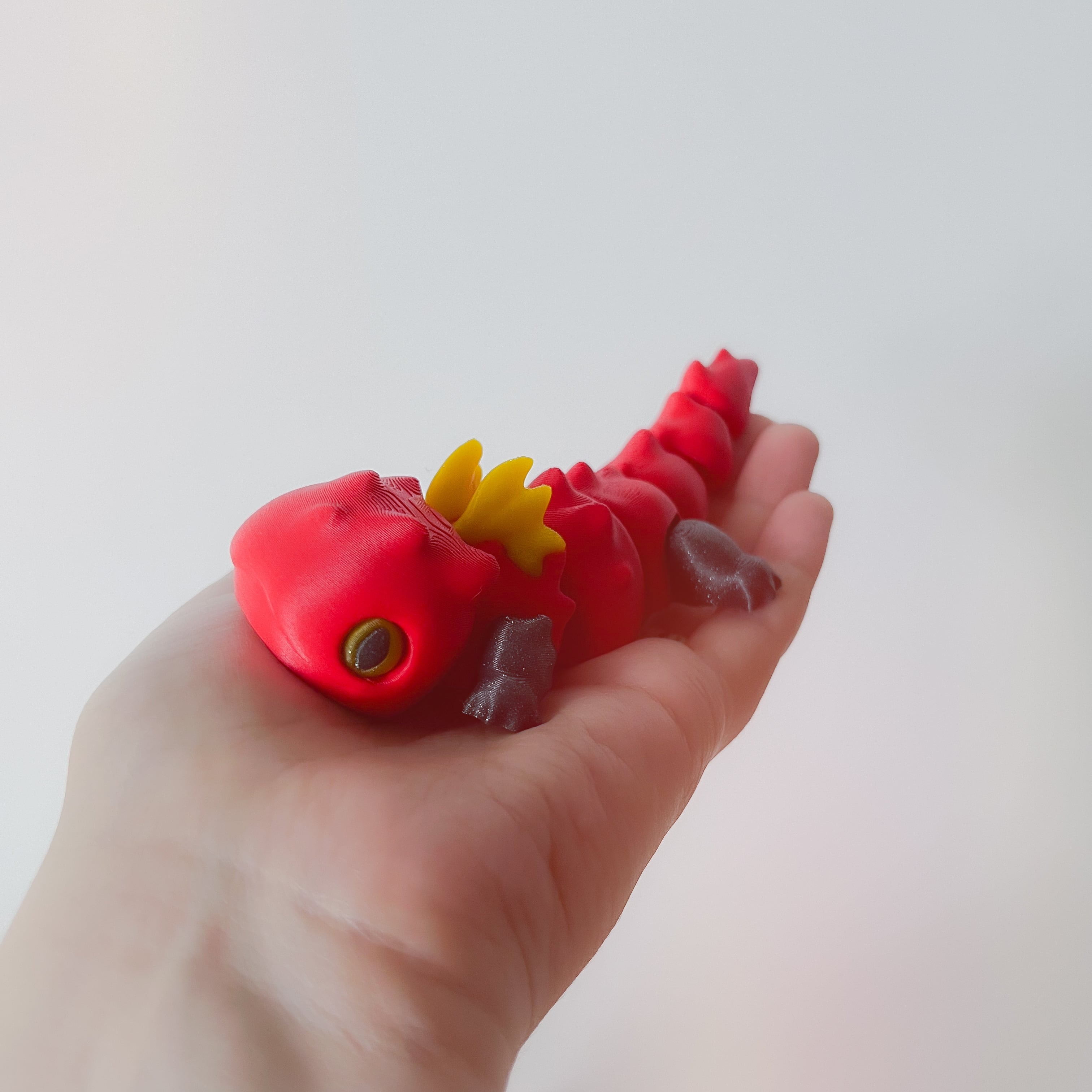 Dramander Flexi 3d model