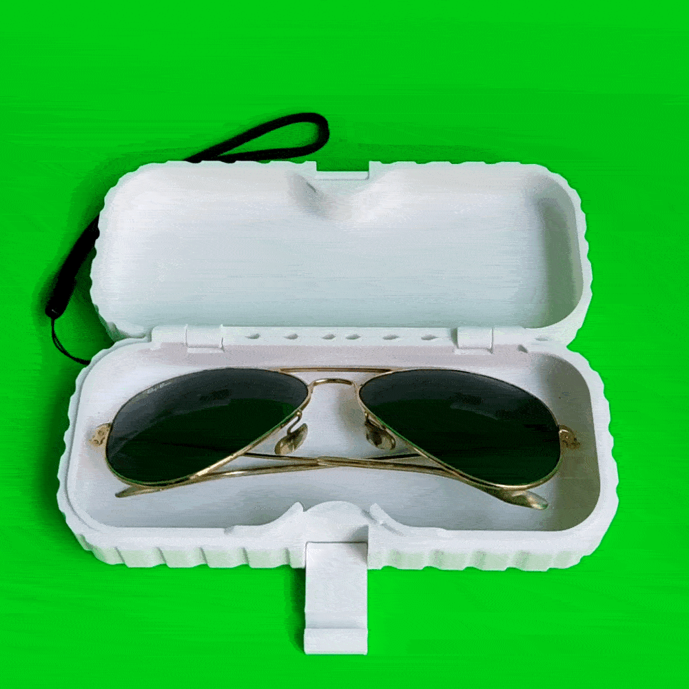 xero sunglasses case 3d model
