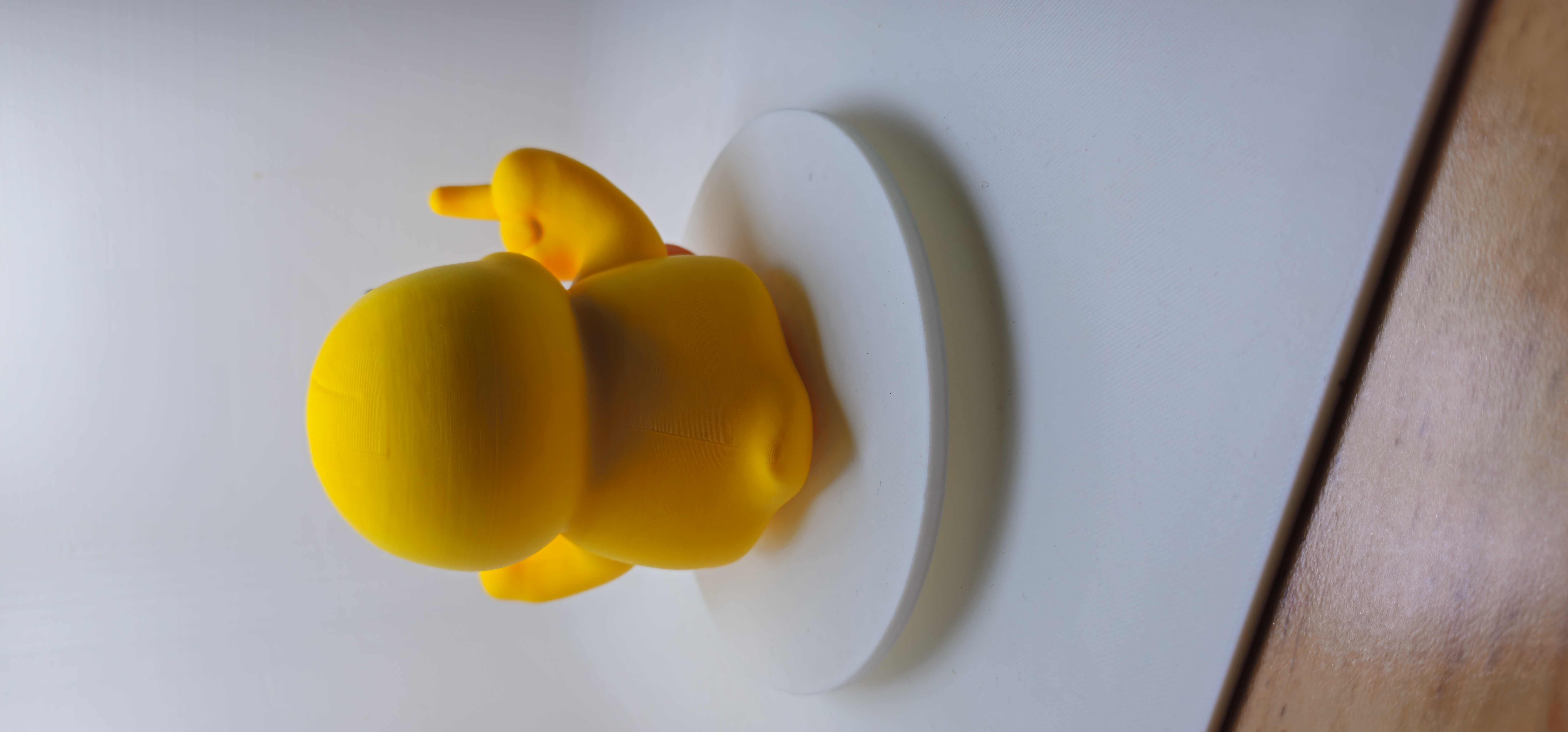 Baby FSCK Duck 3d model
