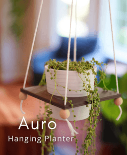 Auro Hanging Planter 3d model