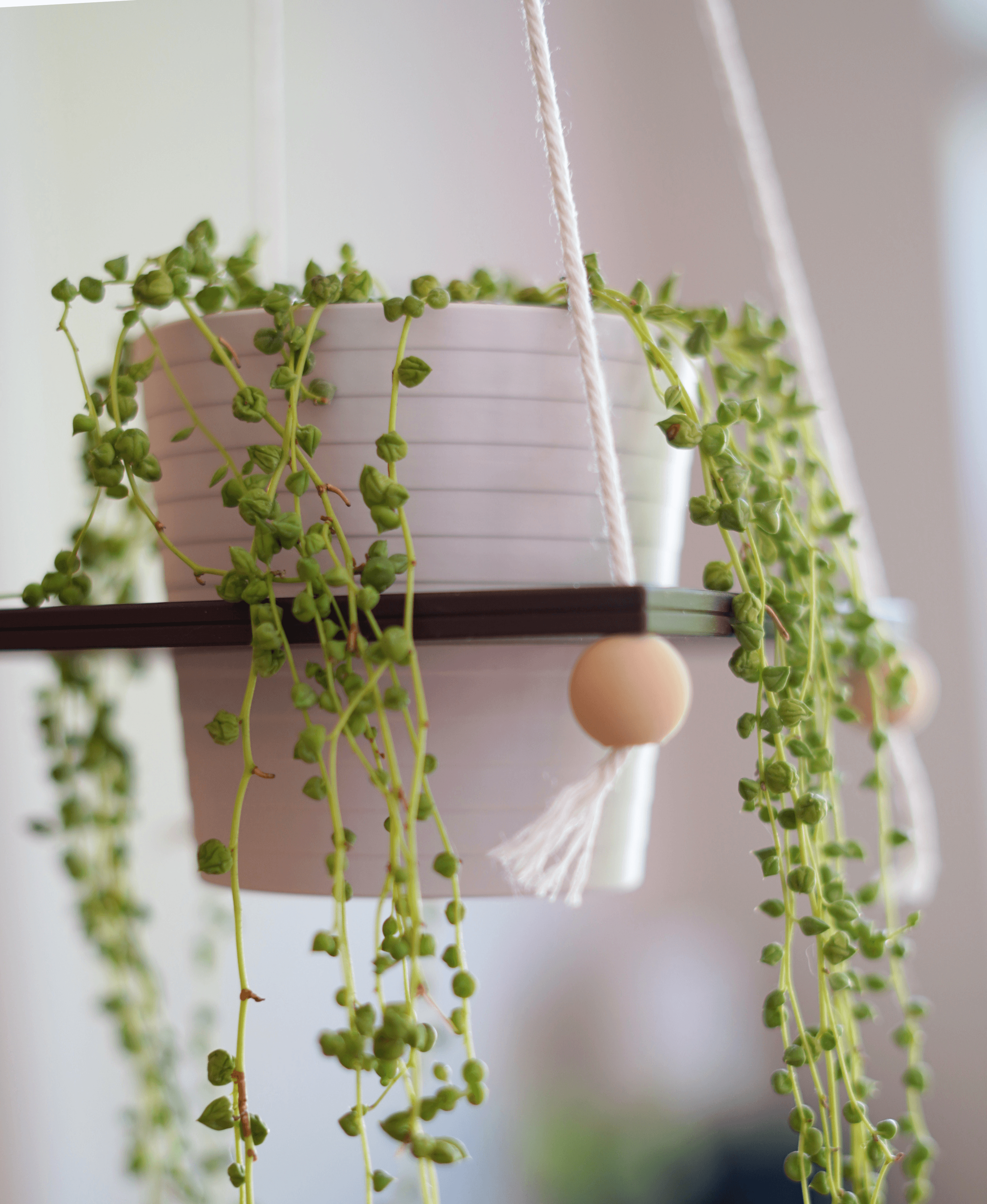 Auro Hanging Planter 3d model