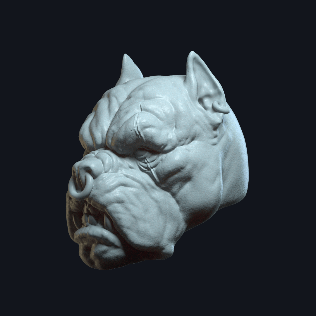 Tarek DreadBone_O_M_P.stl 3d model