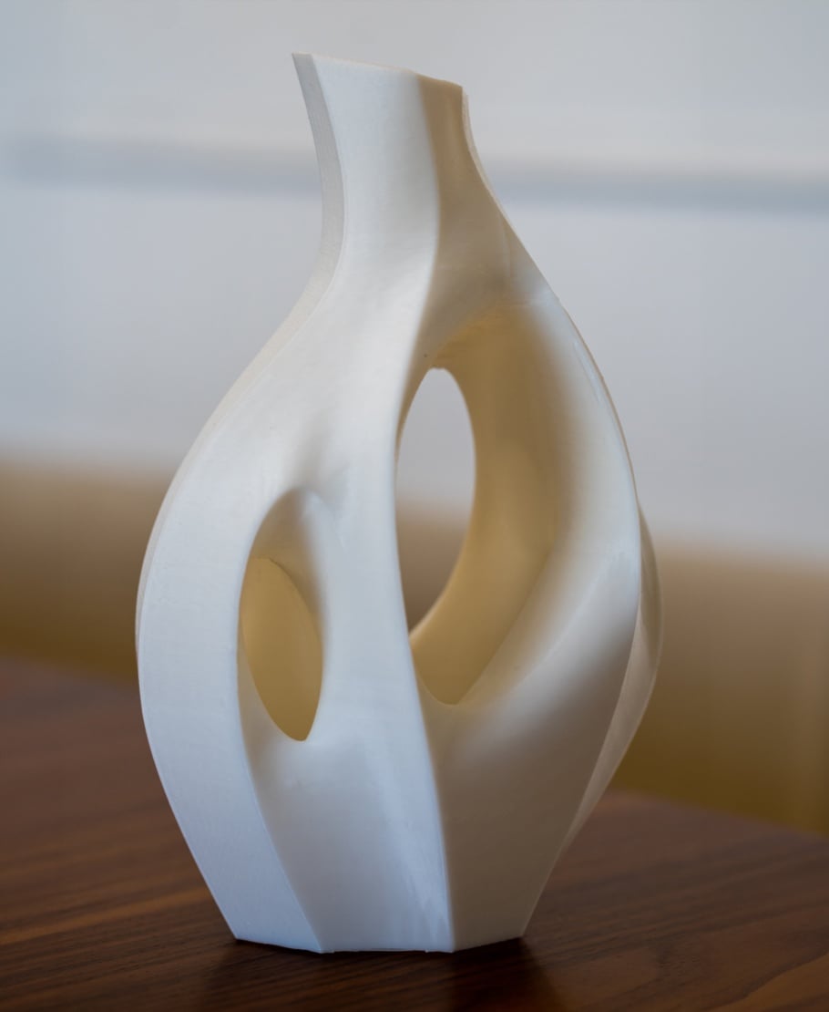 Organic Sculptural Dry Flower Vase 3d model