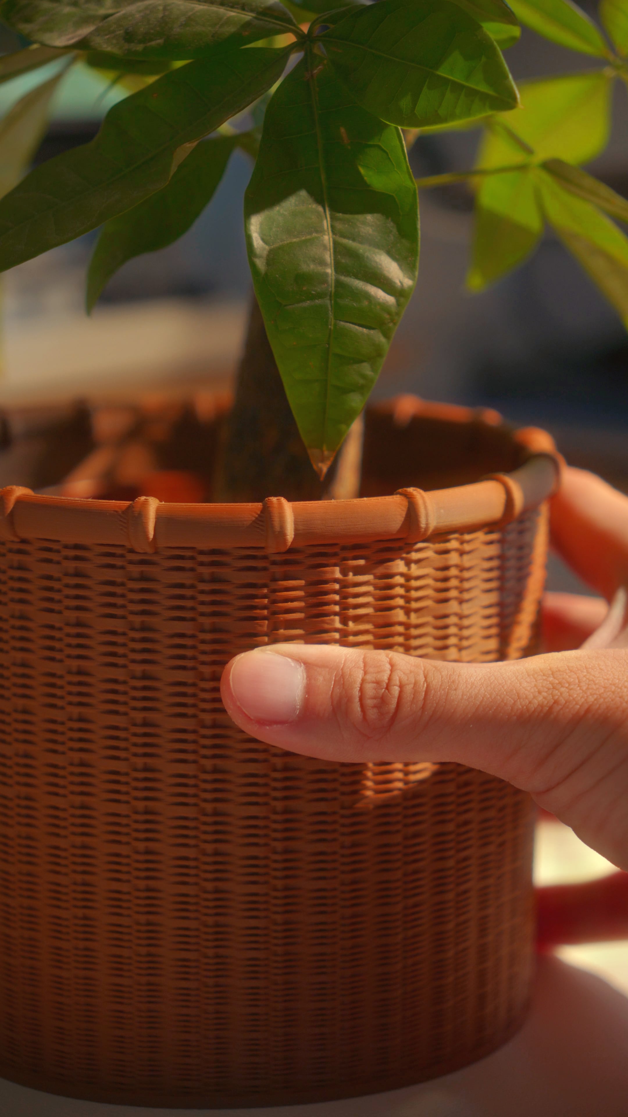 Weave Planter 3d model