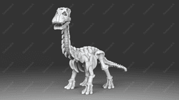 Cute Apatosaurus Skeleton STL 3d model