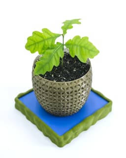 SHIMMER 03 Planter 3d model