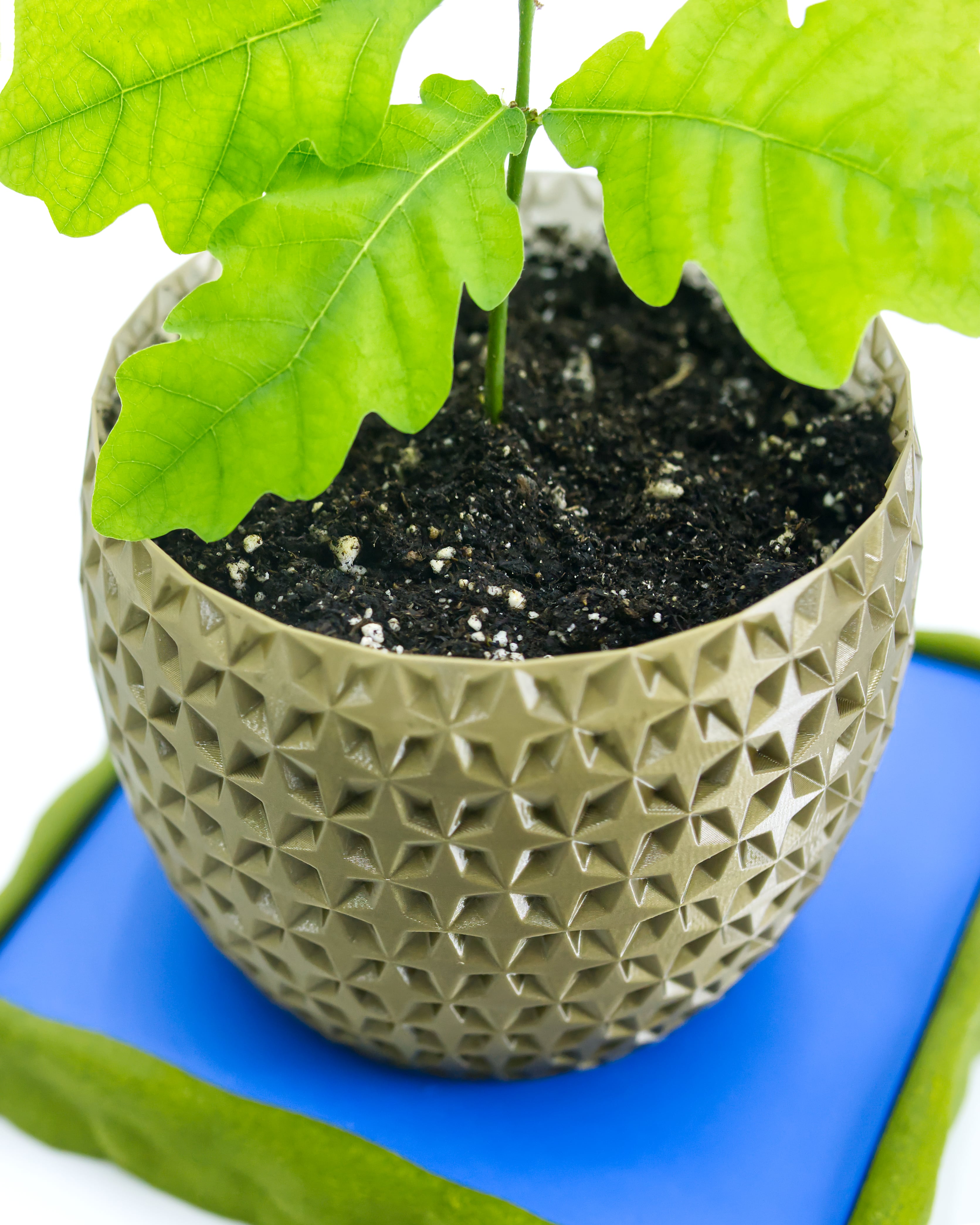 SHIMMER 03 Planter 3d model
