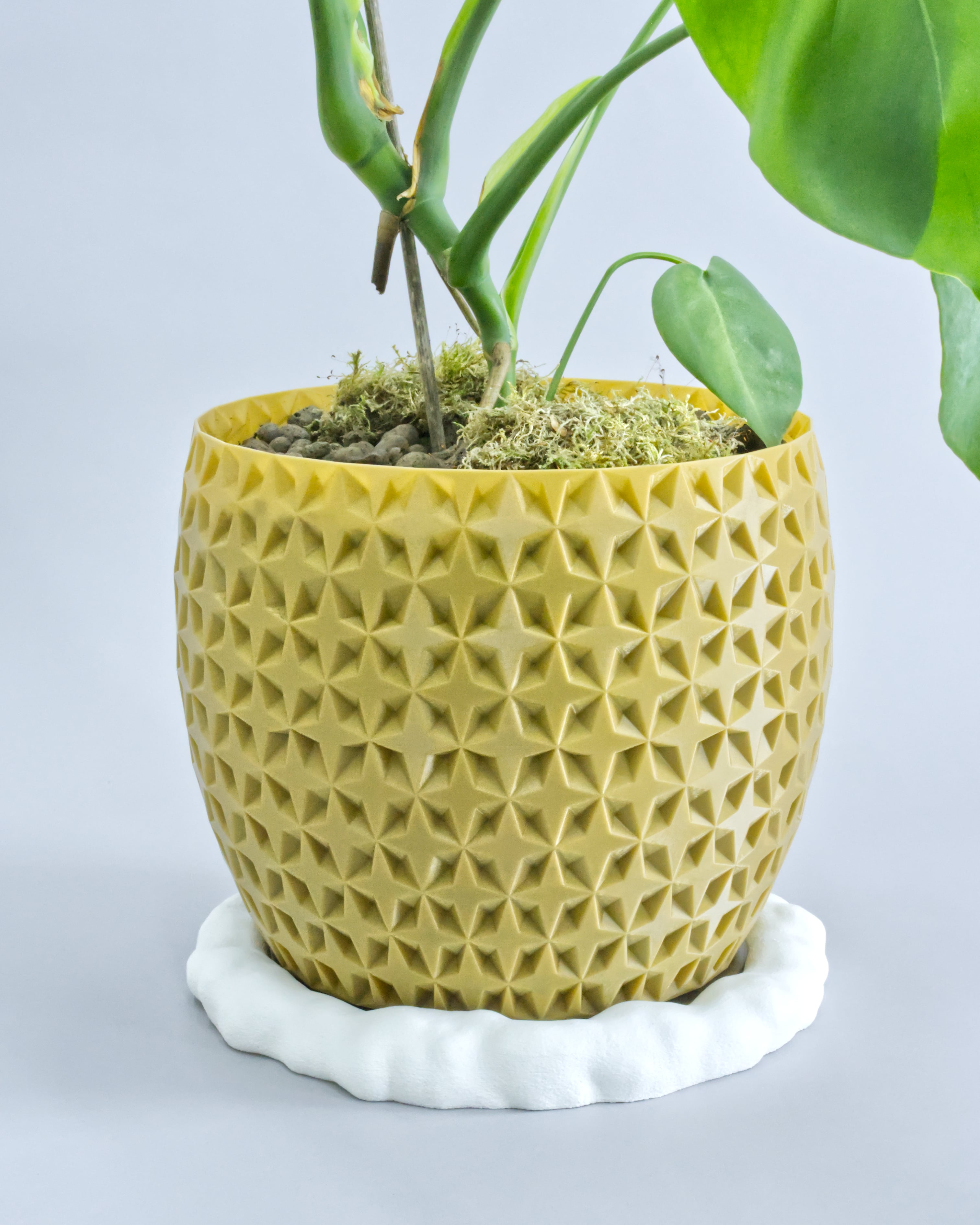 SHIMMER 03 Planter 3d model