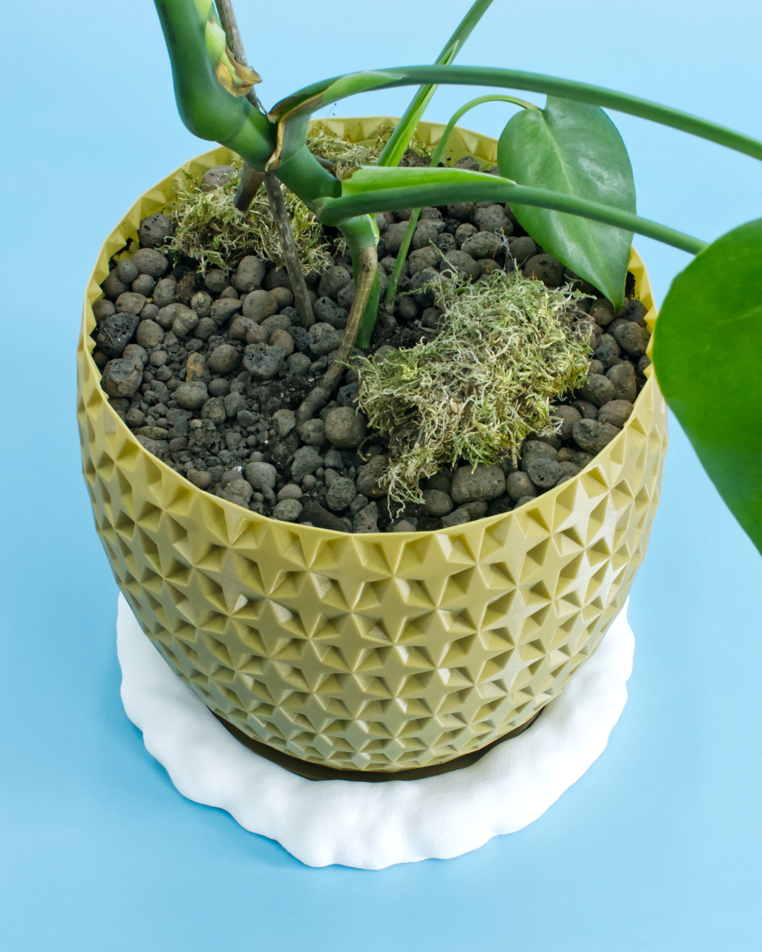 SHIMMER 03 Planter 3d model