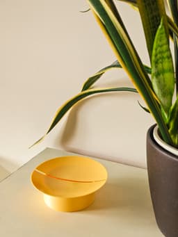 Sun tray 3d model