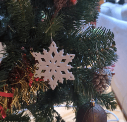 Snowflake Ornaments 3d model