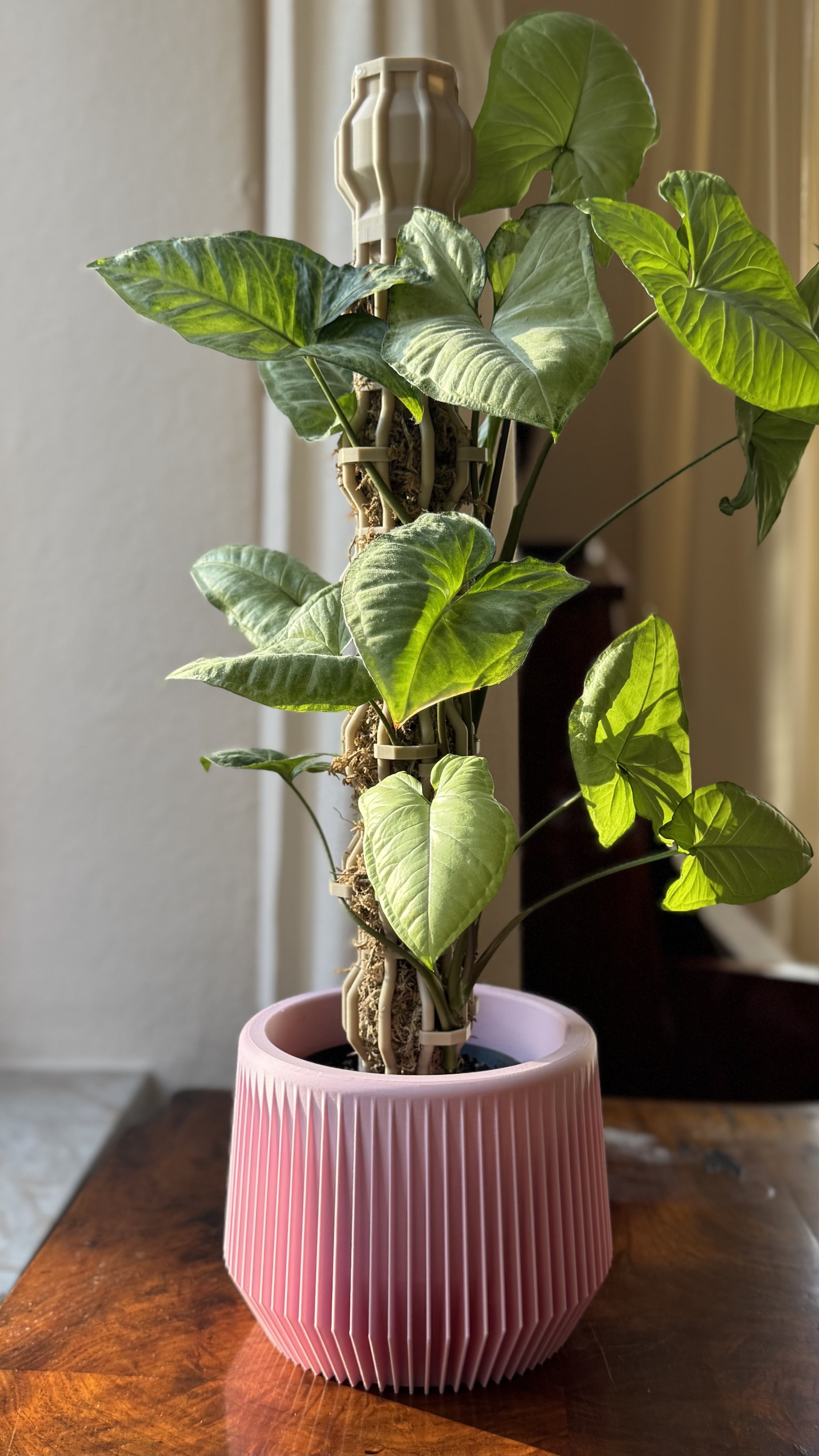 Plant Pole Sets Size M 3d model