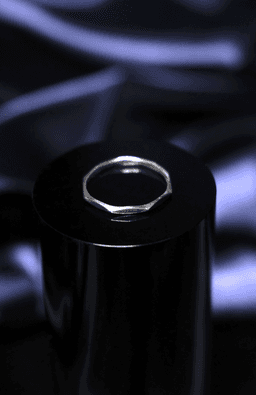 Ring Edges 3d model