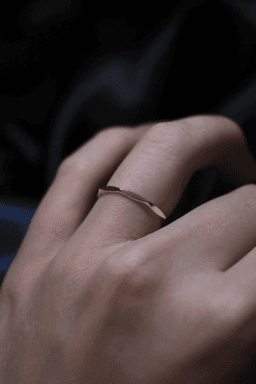 Ring Edges 3d model