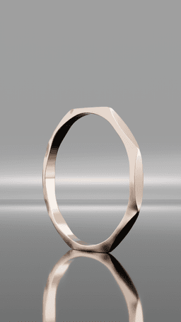 Ring Edges 3d model